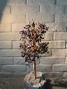中尺寸IMG_0641.webp