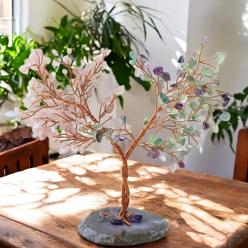 image5-Photoroom.webp