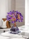 Blossoms Aglow